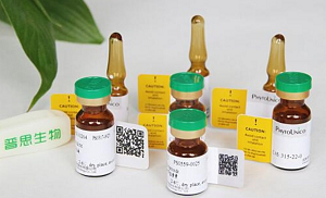 藥物技術(shù)服務(wù)